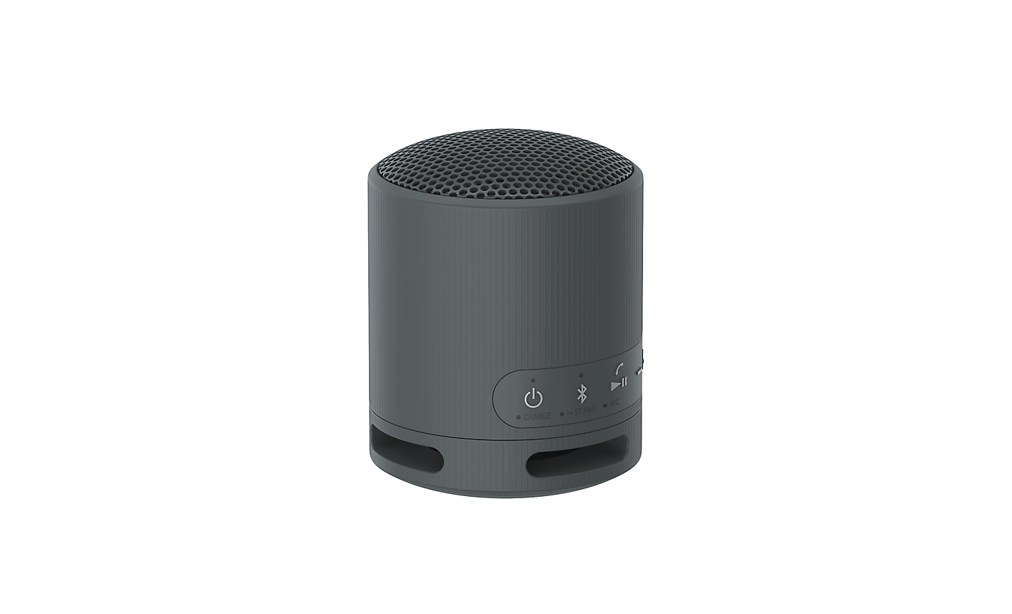Sony Parlante Inalámbrico Portátil XB100