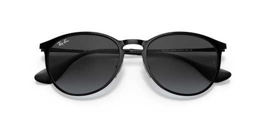 Ray-Ban Erika Metal Sunglasses