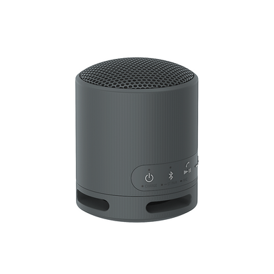 Sony Parlante Inalámbrico Portátil XB100