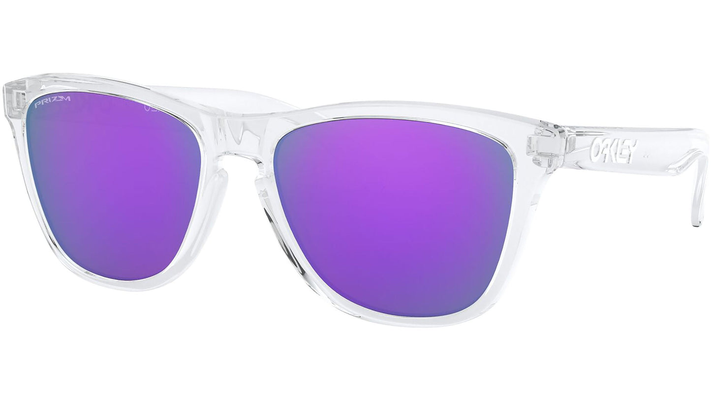 Lentes Oakley Frogskins