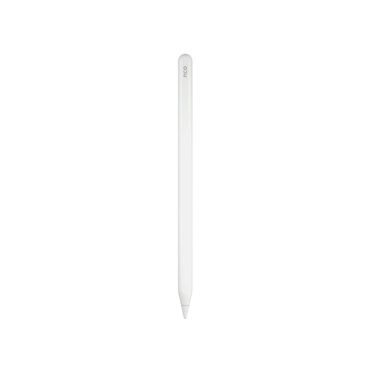 SmartPen Stylus para iPad