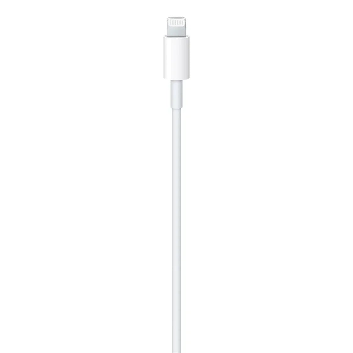 Apple Charger Cable