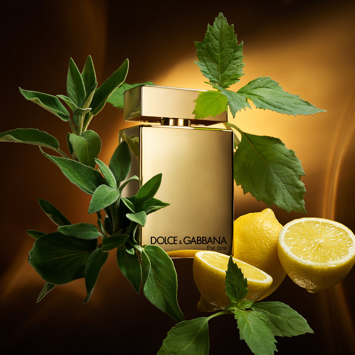 The One Gold Eau de Parfum