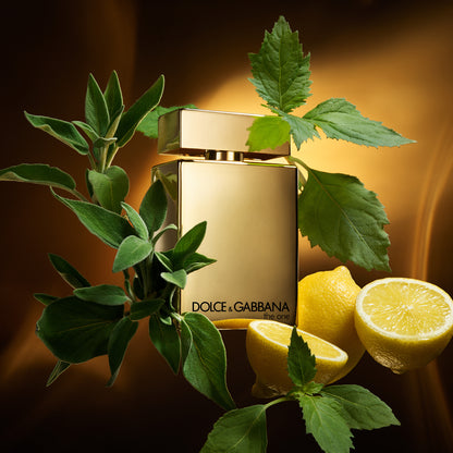 The One Gold Eau de Parfum