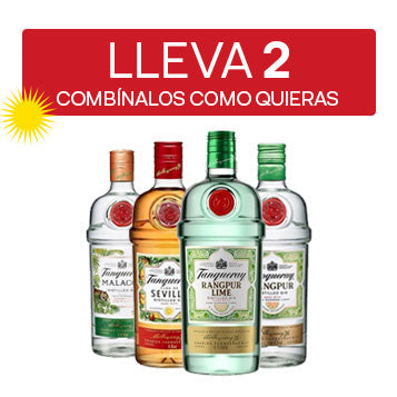 Tanqueray Sabores