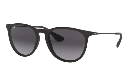 Ray Ban Erika Classic Sunglasses